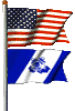 US & Aux Member Flags